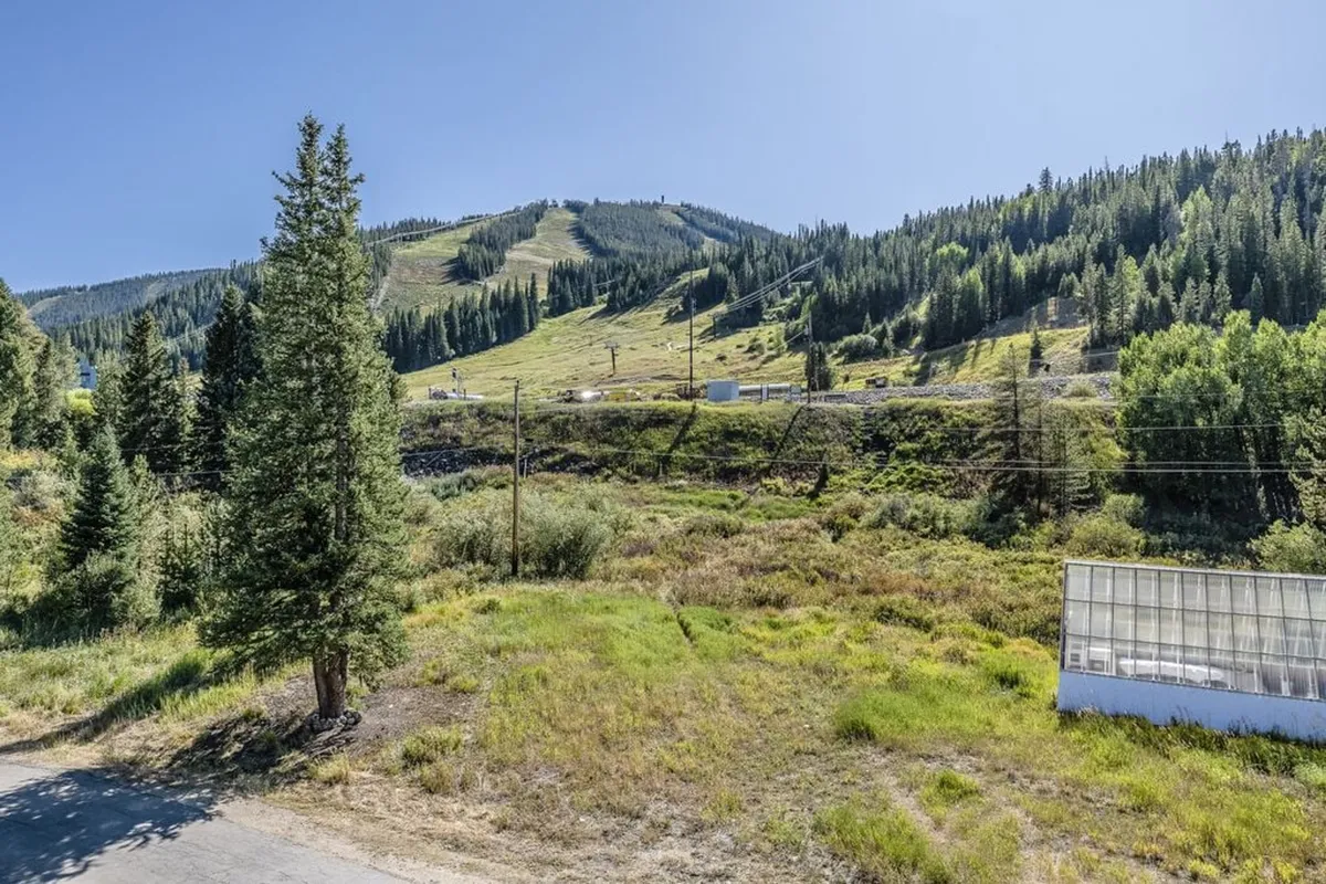A panoramic view of a tranquil mountain slope bordered by dense forests and open fields, with a winding trail inviting exploration. The mood is serene, spotlighting the natural grandeur of the Rockies.